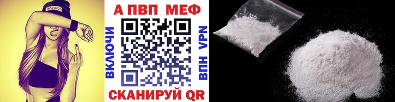 A PVP СК  Балтийск 