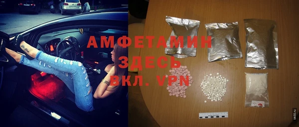прущие грибы Беломорск