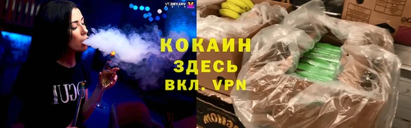 прущие грибы Беломорск