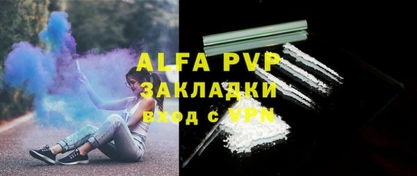 прущие грибы Беломорск