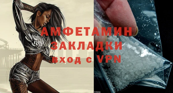 прущие грибы Беломорск