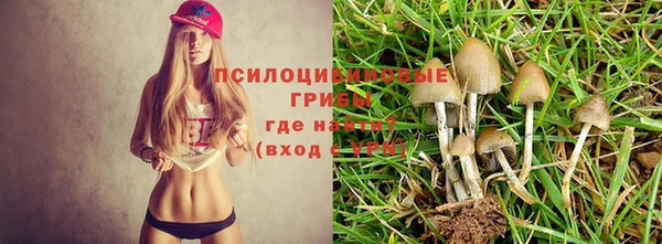 Альфа ПВП Баксан
