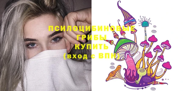 прущие грибы Беломорск