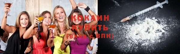 сатива Ростов