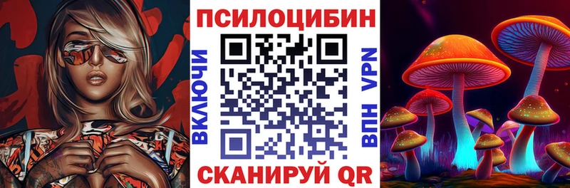 Псилоцибиновые грибы Magic Shrooms  Балтийск 