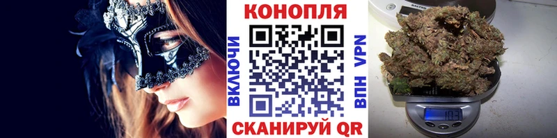 Бошки марихуана Ganja  где купить наркотик  Балтийск 